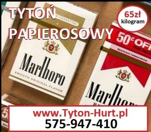 Tani tytoń papierosowy sklepowej jakości Light, Marlboro 65zł/kg