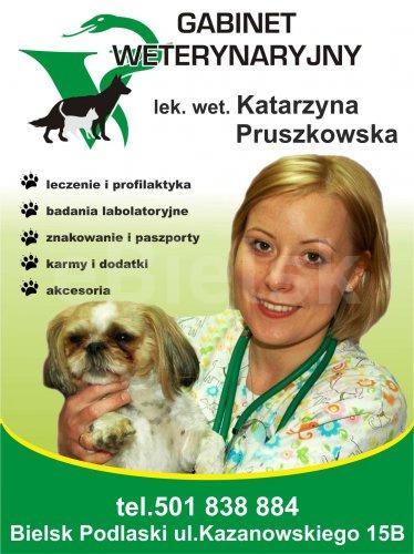 Gabinet Weterynaryjny, Katarzyna Rzepniewska, Kazanowskiego  15B, Bielsk Podlaski (tel. 501-838-884)